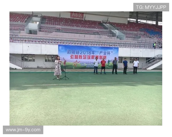 以泗阳县足球服为核心打造地域体育文化品牌发展路径探索新研究 以泗阳县足球服为核心打造地域体育文化品牌发展路径探索新研究